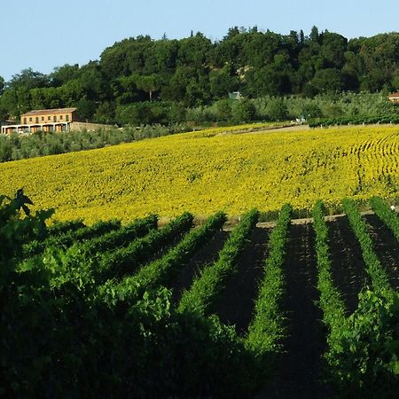 فيلا ساتورنيافي Bio Agriturismo Il Torrione المظهر الخارجي الصورة