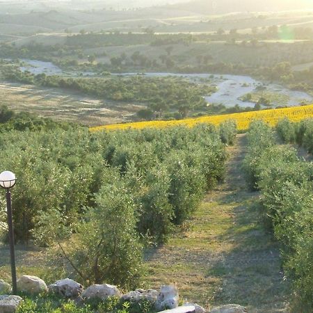 فيلا ساتورنيافي Bio Agriturismo Il Torrione المظهر الخارجي الصورة