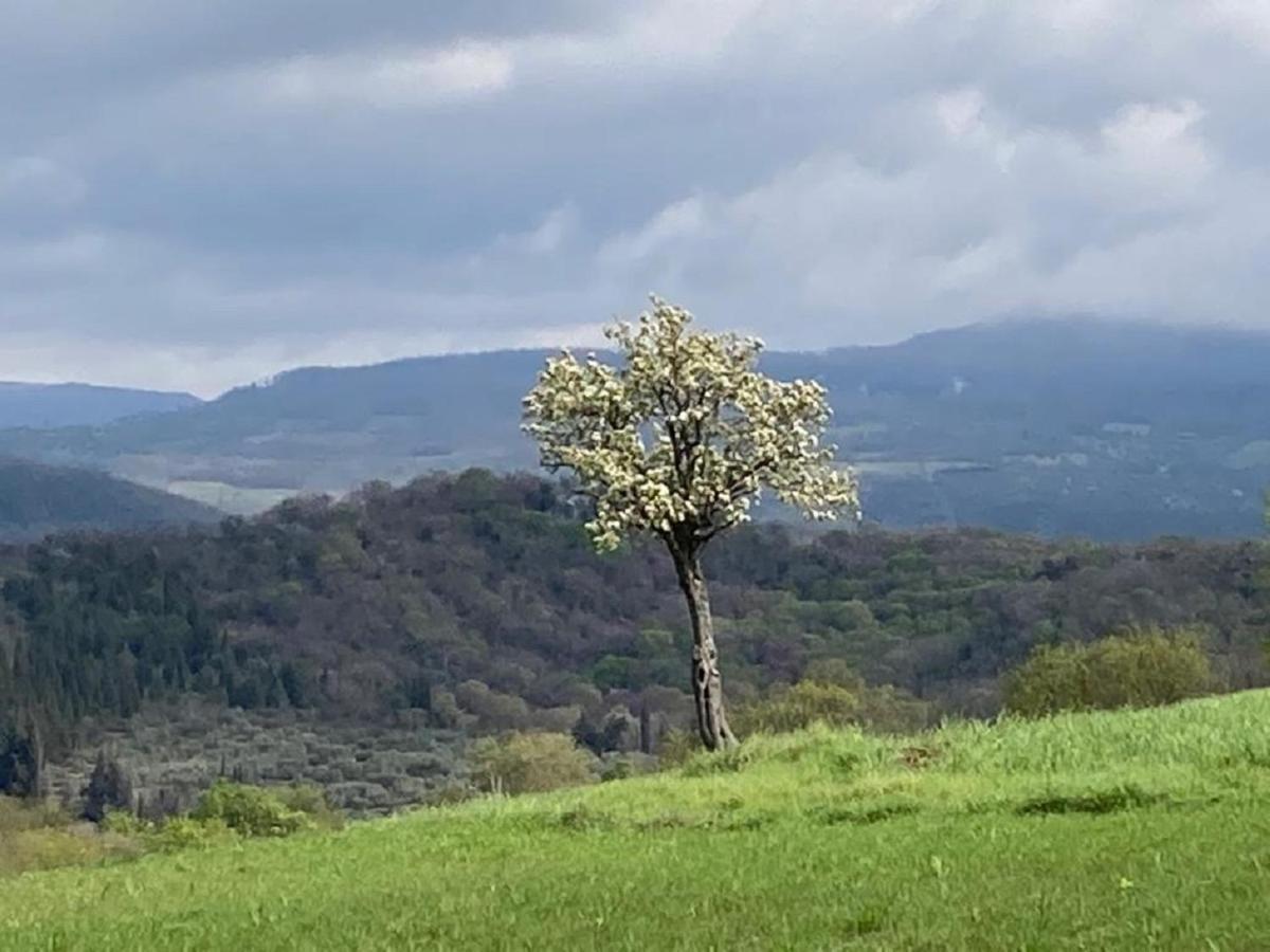 فيلا ساتورنيافي Bio Agriturismo Il Torrione المظهر الخارجي الصورة