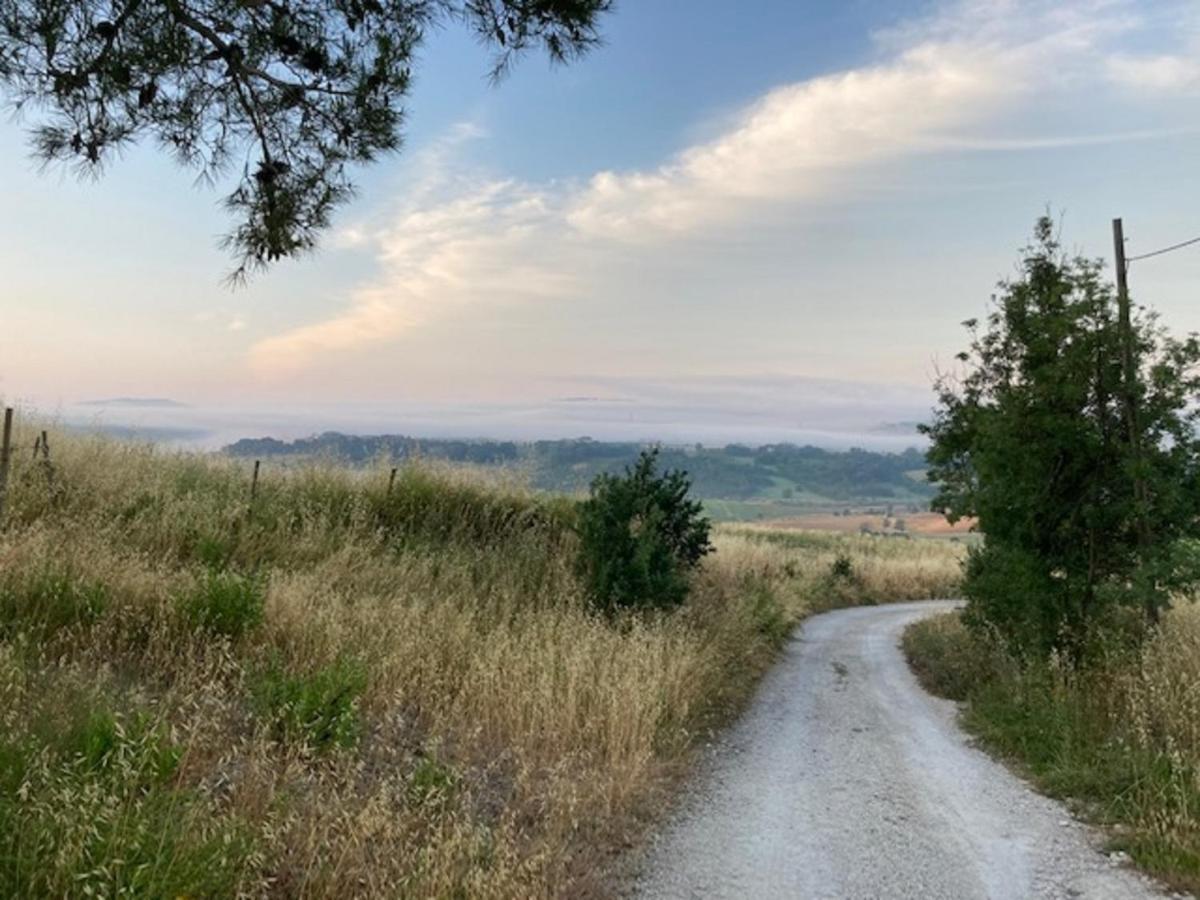 فيلا ساتورنيافي Bio Agriturismo Il Torrione المظهر الخارجي الصورة