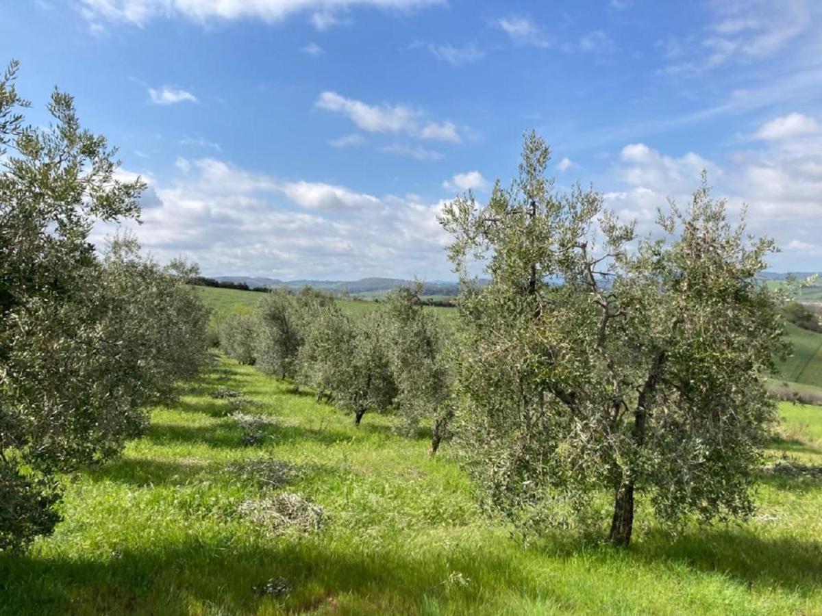 فيلا ساتورنيافي Bio Agriturismo Il Torrione المظهر الخارجي الصورة