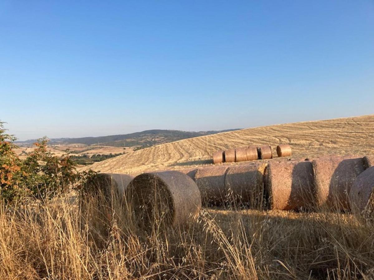 فيلا ساتورنيافي Bio Agriturismo Il Torrione المظهر الخارجي الصورة