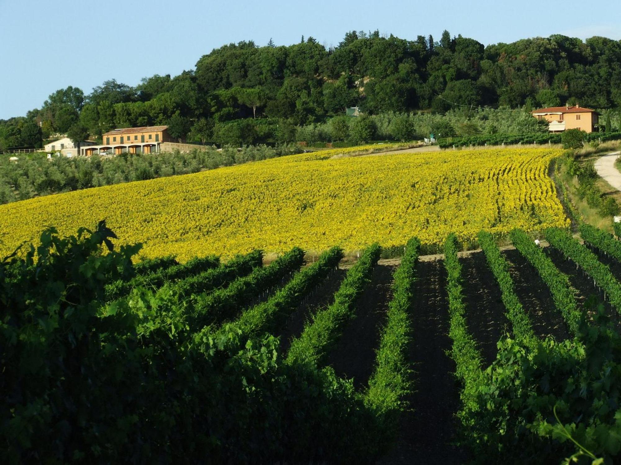 فيلا ساتورنيافي Bio Agriturismo Il Torrione المظهر الخارجي الصورة