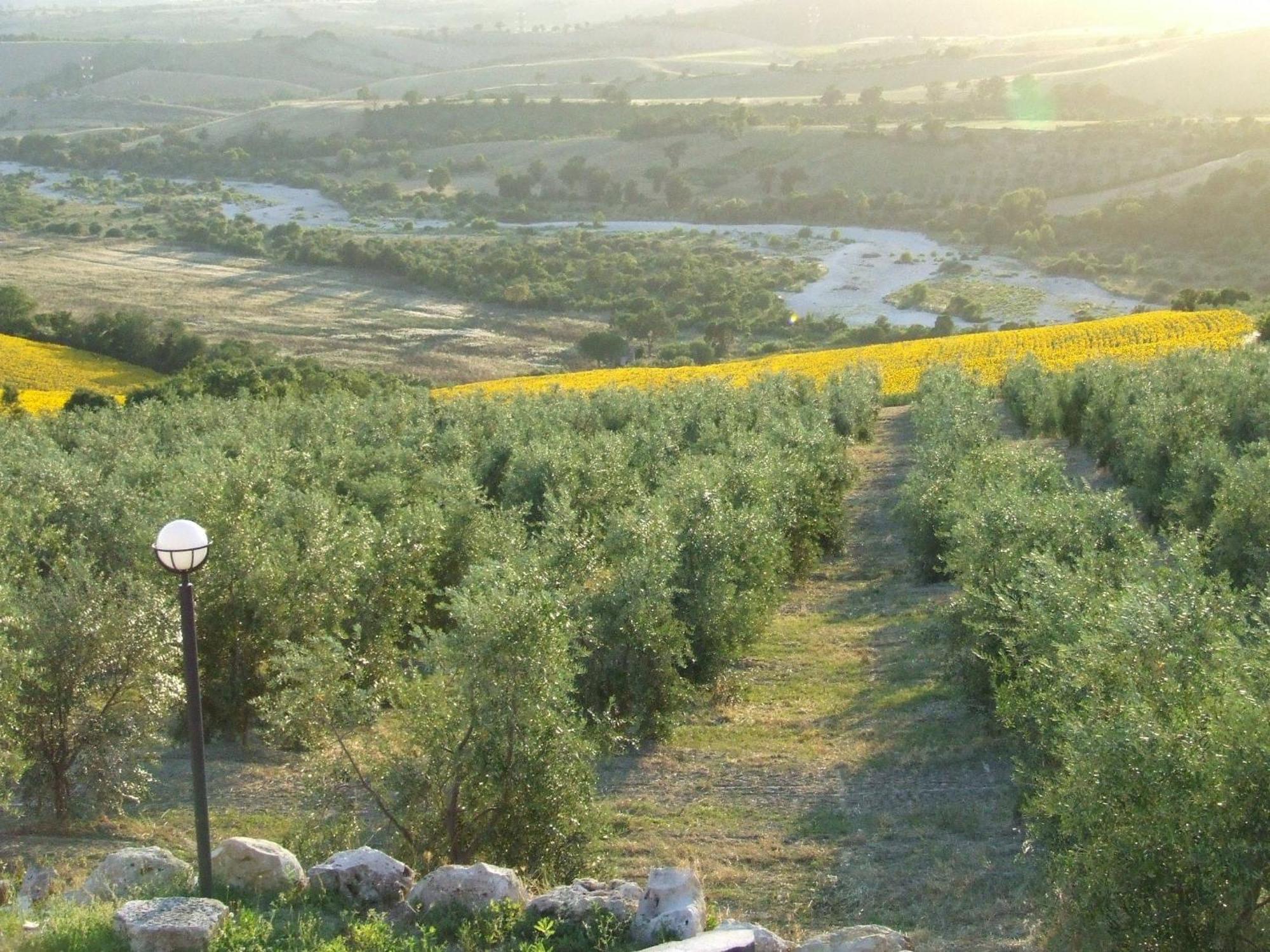 فيلا ساتورنيافي Bio Agriturismo Il Torrione المظهر الخارجي الصورة