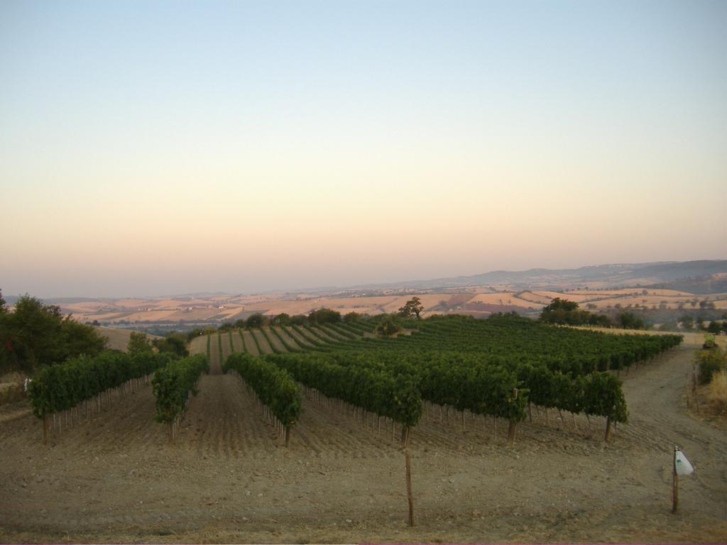 فيلا ساتورنيافي Bio Agriturismo Il Torrione المظهر الخارجي الصورة